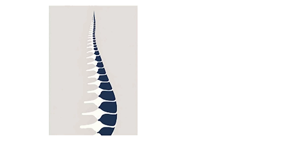 The Structural Foundation Chiropractic website homepage logo